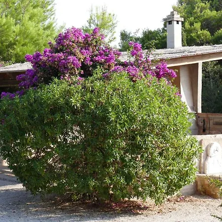 Finca Can Jose