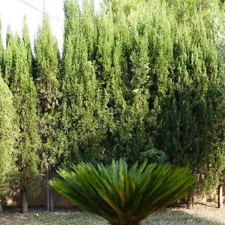 Holiday home Finca Can Jose Can Picafort (Mallorca)